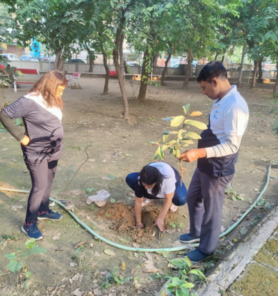 Tree Plantation