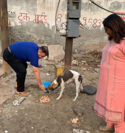 Animal Shelter
